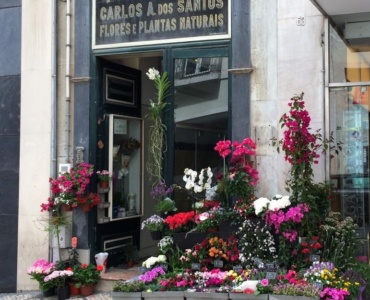The most adorable florist in Chiado, Lisbon