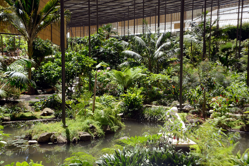 Lisbon Greenhouse, an oasis in the city center